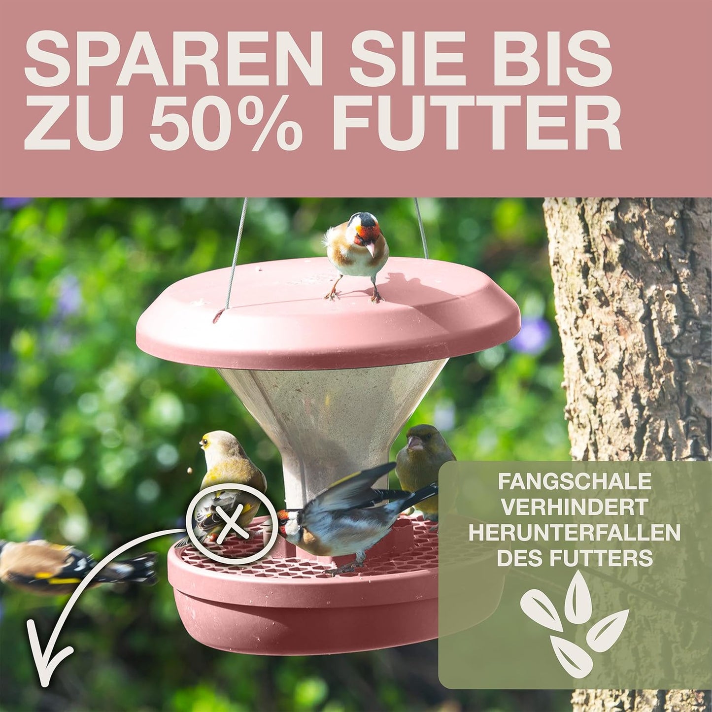 Vogelfutterhaus Davos, Staubiges Rosa Davos