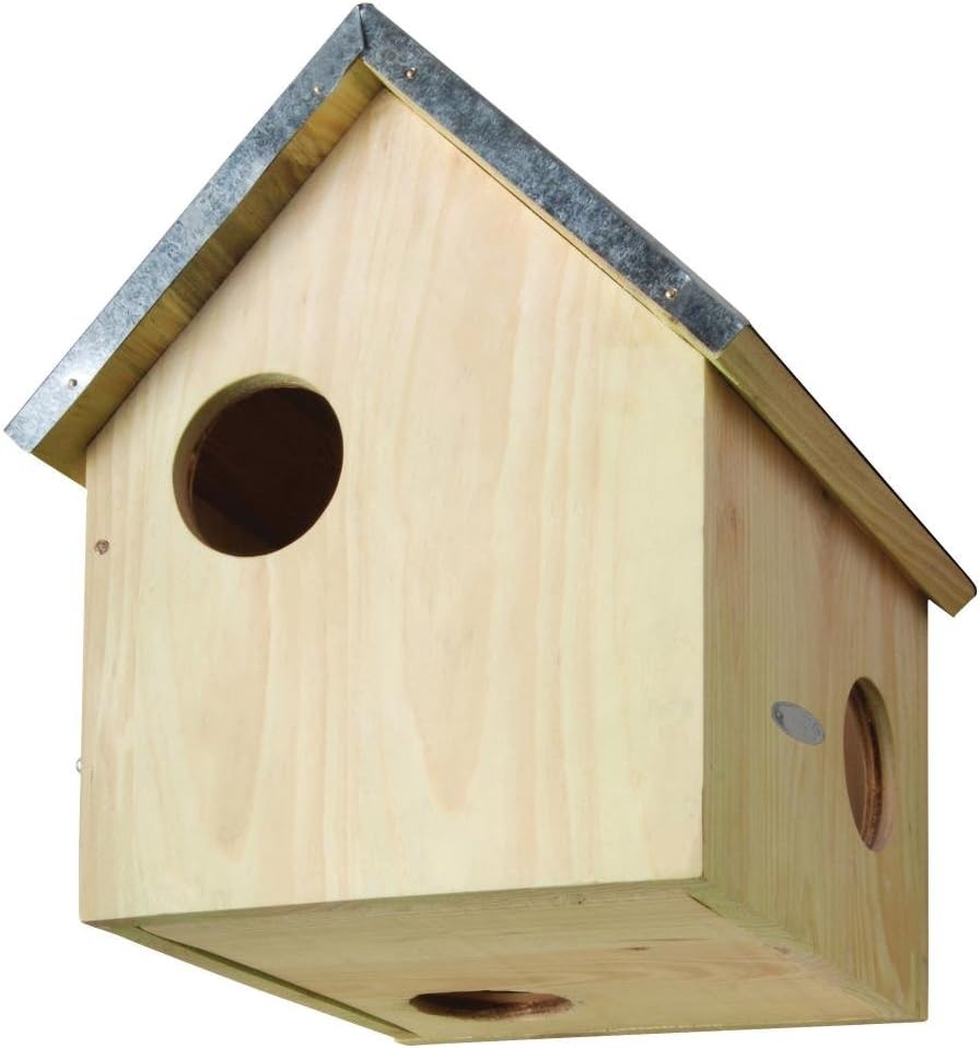 Futterhaus Eichhörnchen