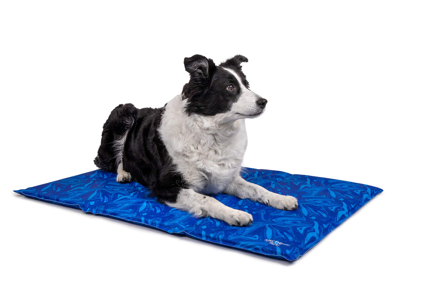 Hundekühlmatte, 75x55cm