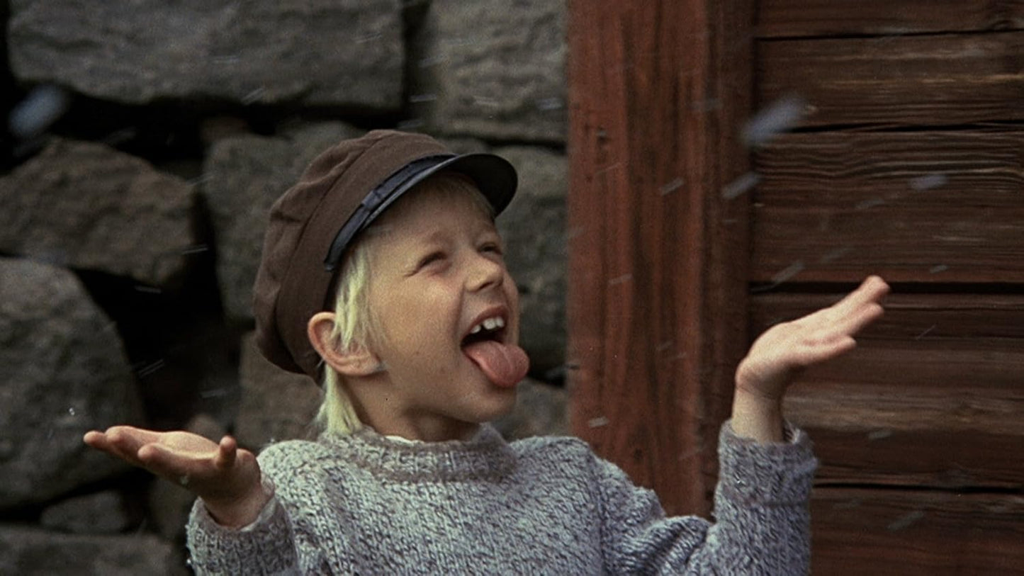 Pippi Langstrumpf / Michel aus Lönneberga, DVD