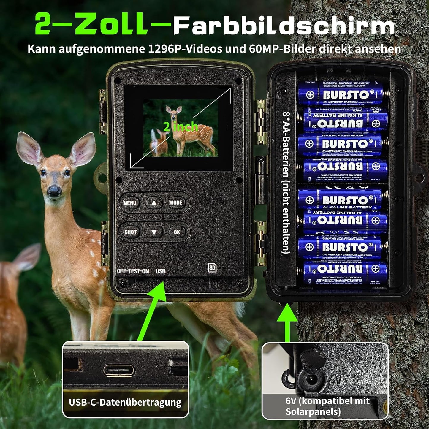 Wildkamera mit Nachtsicht