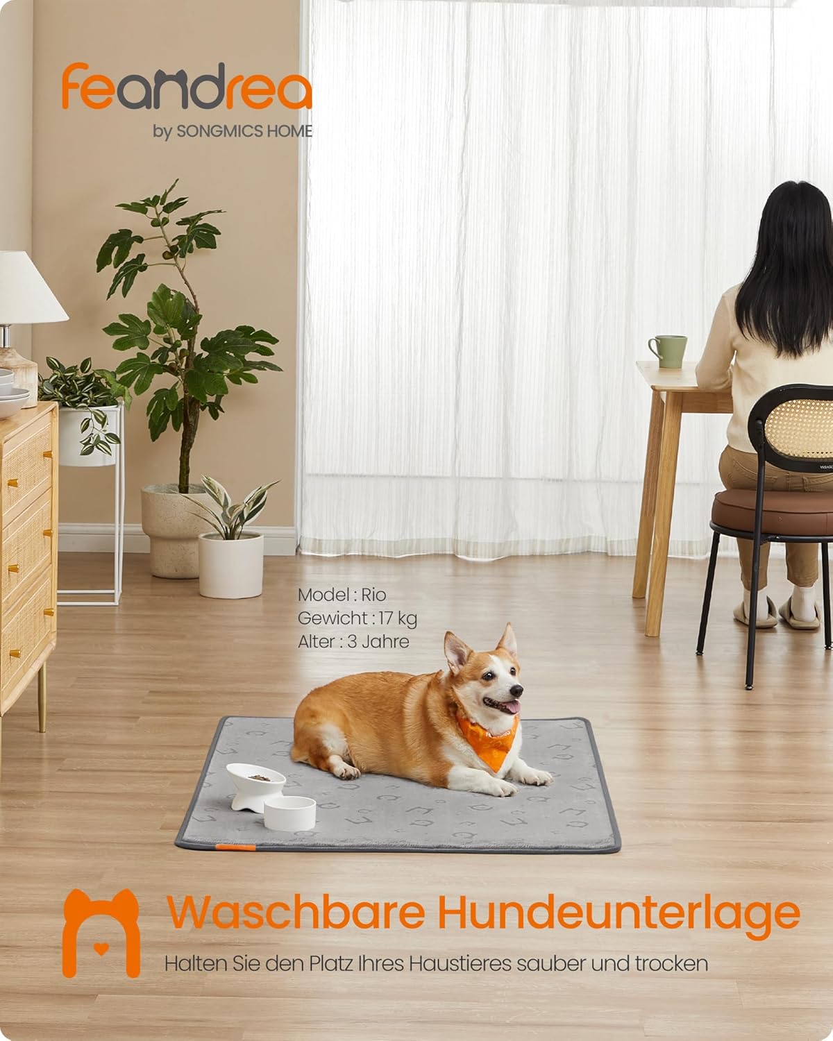2er-Set Hundedecken, XL (122 x 91 cm) Taubengrau