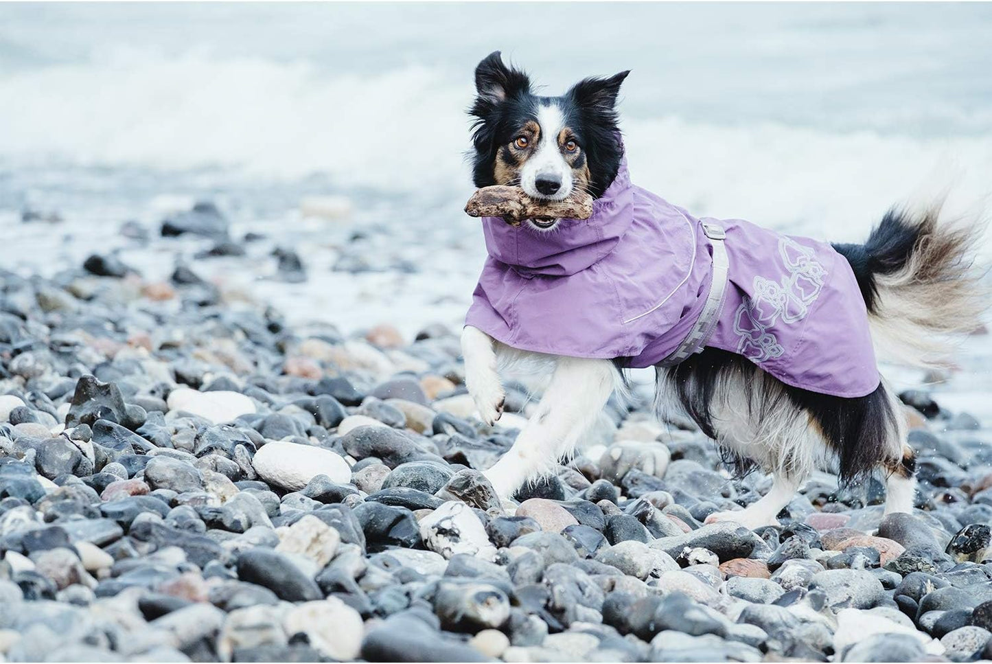 Drizzle Regenjacke für Hunde, raven|90cm
