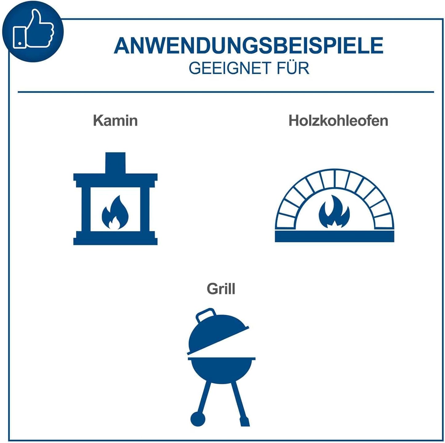 Aschesauger AVC20 mit Filterreinigung (1200W)