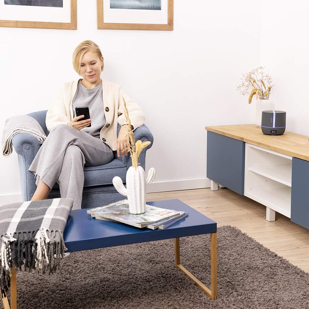 Duftdiffusor PureAroma 550 mit App-Steuerung, APP | Lautsprecher Stone