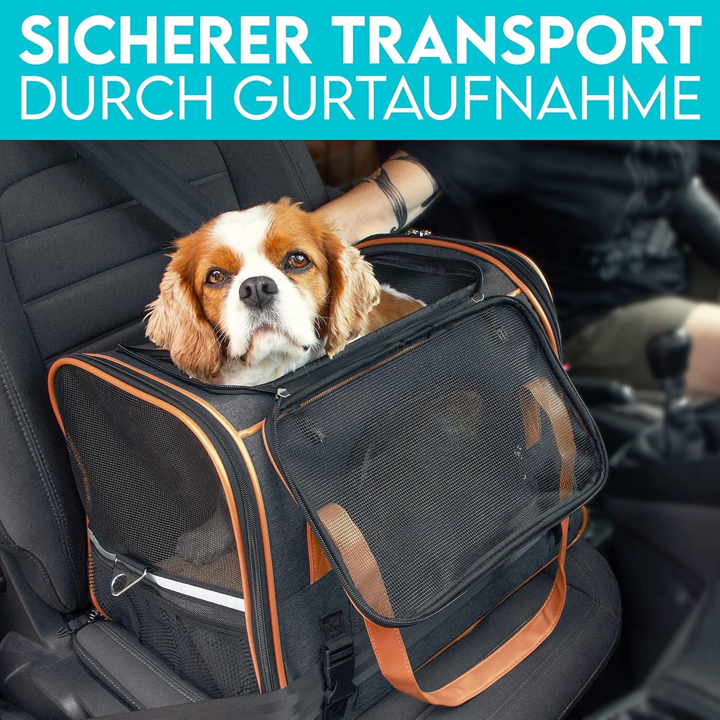 Hundetasche, L 44 x B 32 x H 34 cm Anthrazit