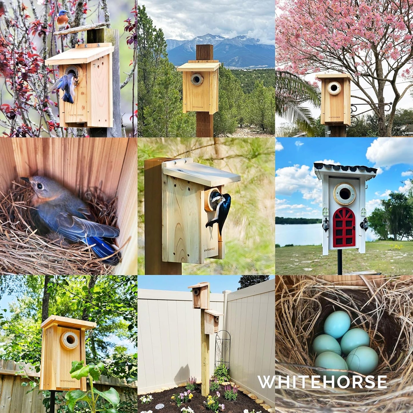 Premium-Vogelhaus und Nistkasten aus Zedernholz, Vogelhaus