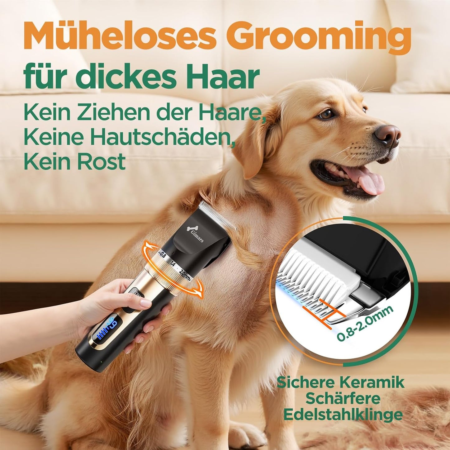 6-in-1 Hundeschermaschine mit Scherenset, 7000 U/min, 6-in-1 Schermaschine + Profi Scherenset Gold