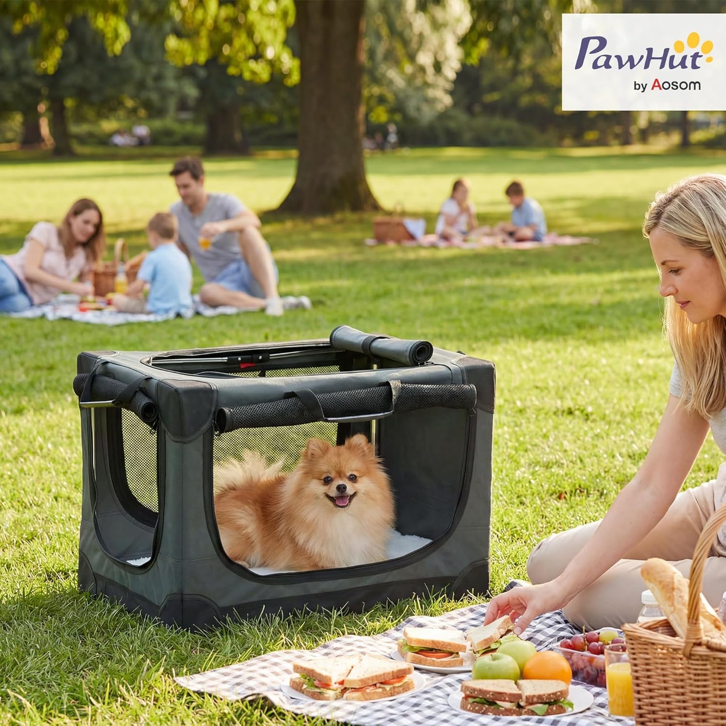 Faltbare Hundetransportbox mit Kissen, L 60 x B 42 x H 43 cm