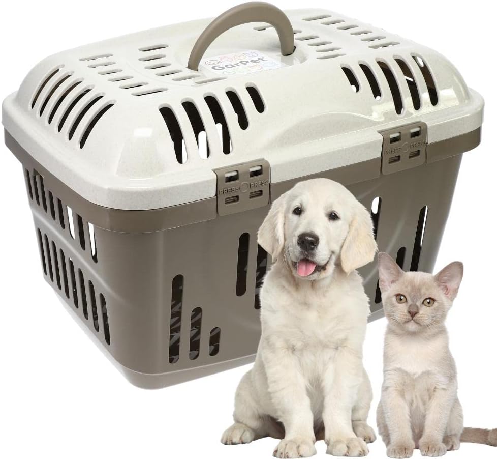 Transportbox