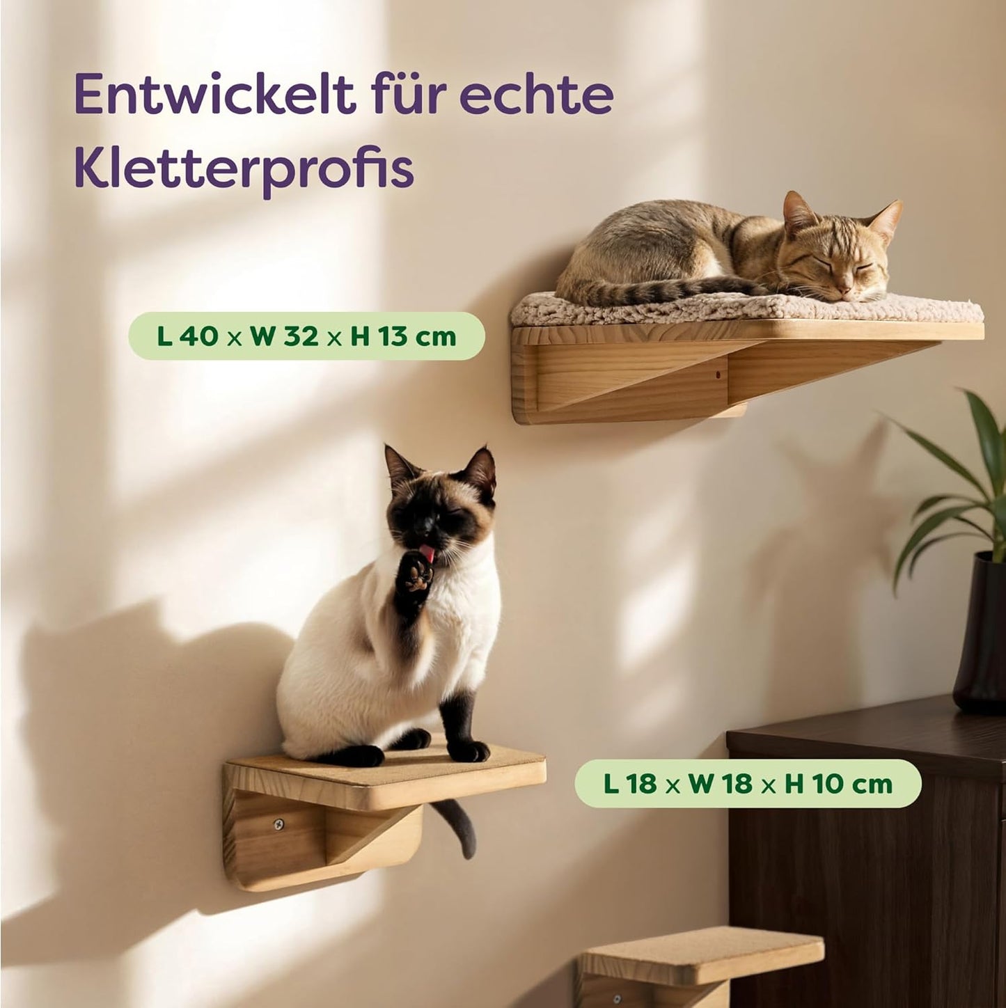 Kletterwand-Set mit Katzenbett & Treppen