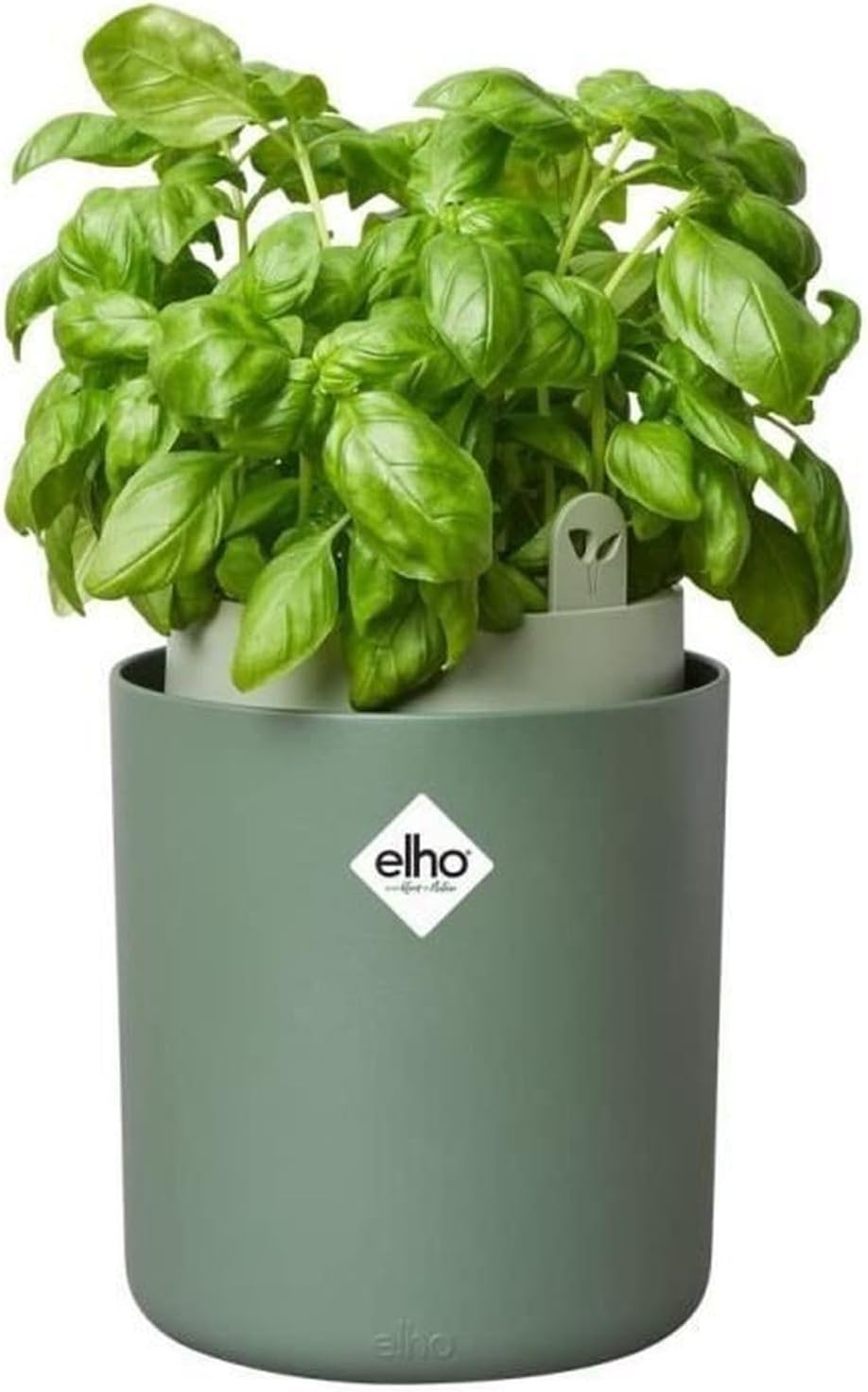 Bouncy Basil Blumentopf, Leaf Green 16 cm