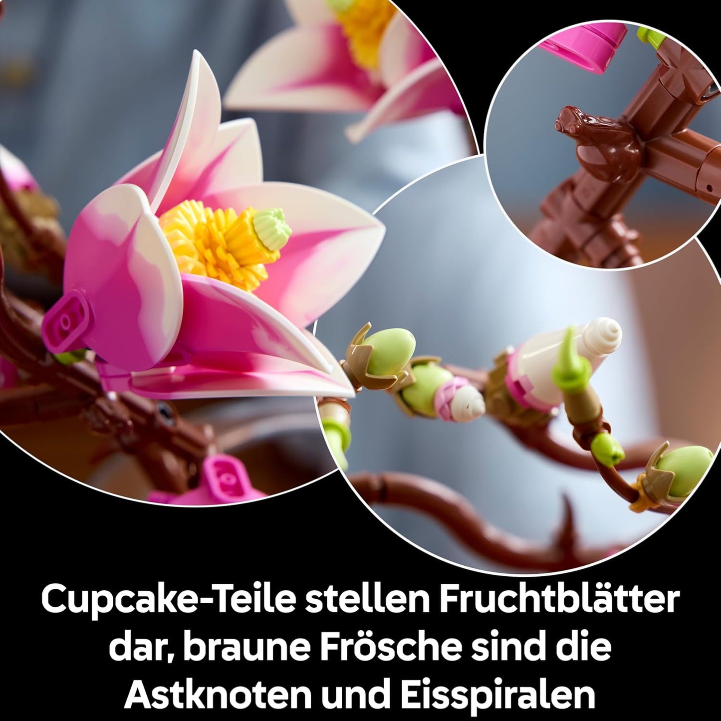 Magnolienzweige