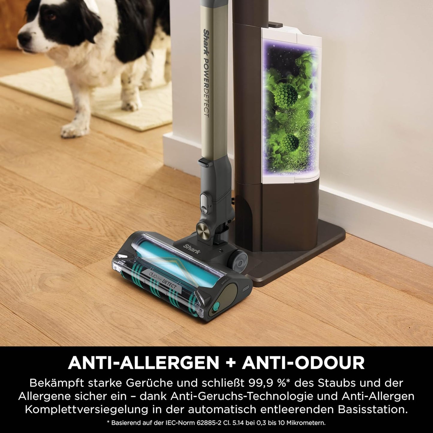 Kabelloser Akkustaubsauger PowerDetect Clean & Empty, PowerDetect Clean & Empty - Enhanced