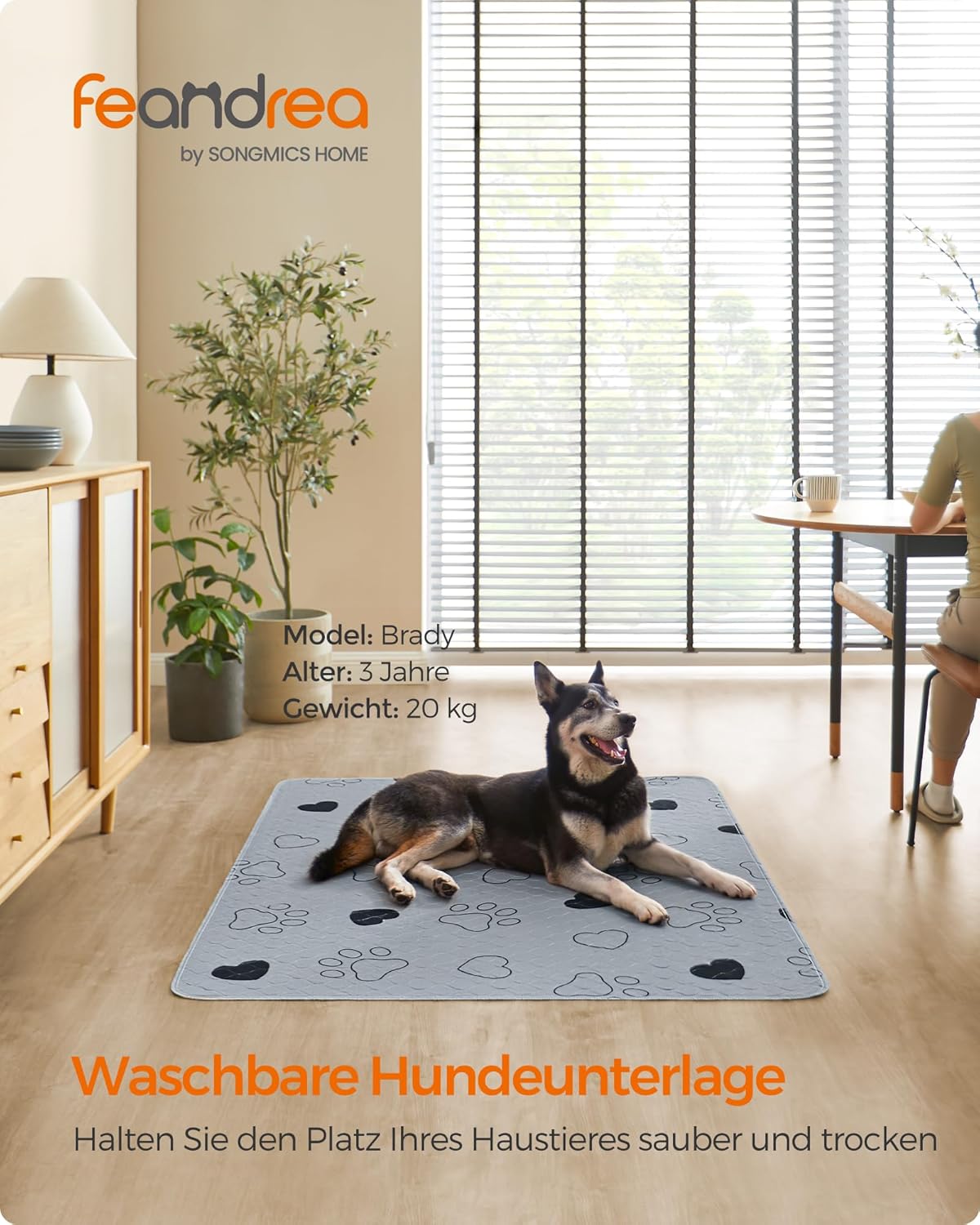 2er Set Waschbare Hundematten, 152 x 122 cm, XXL (152 x 122 cm)