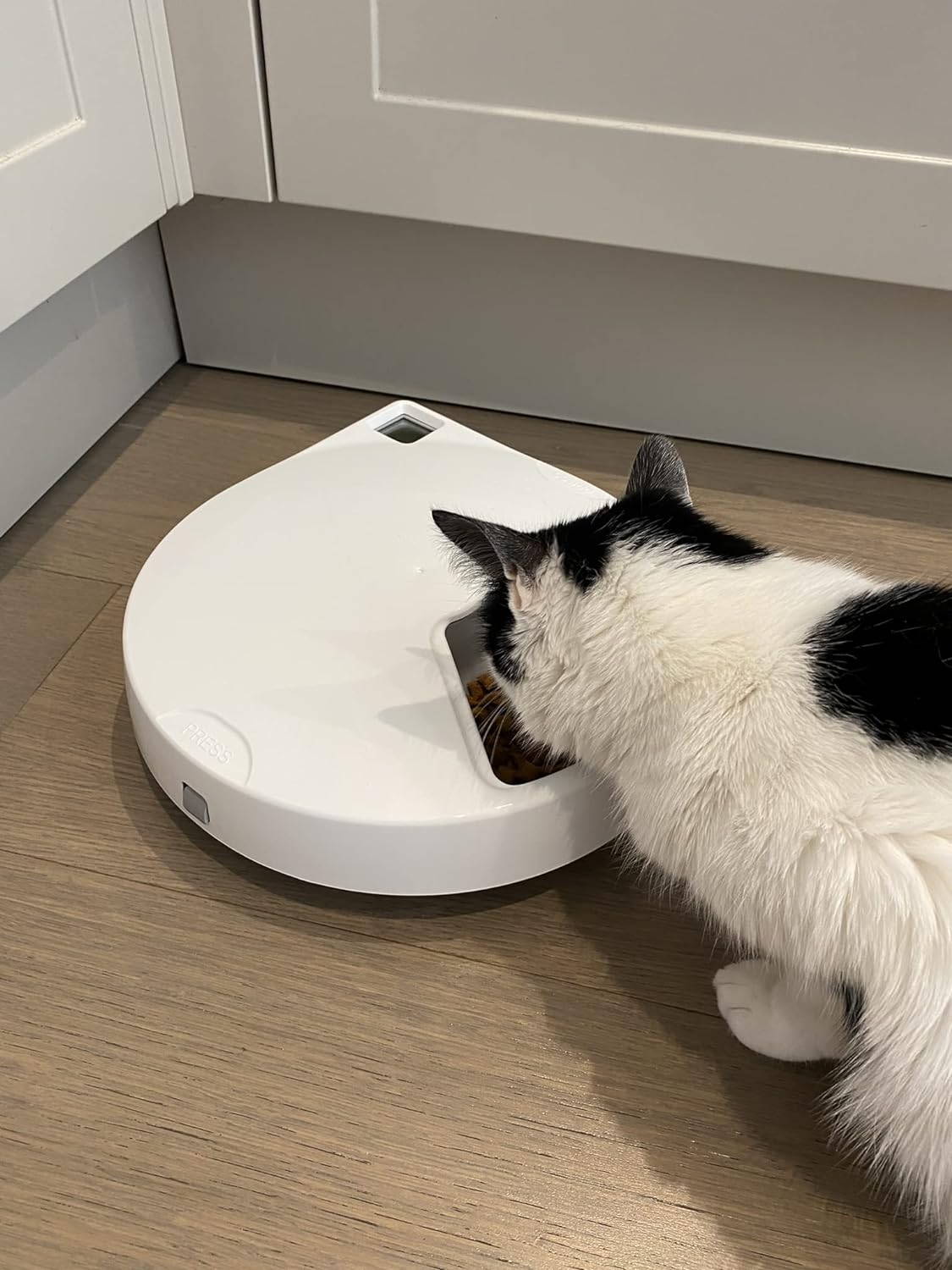 Automatischer Futternapf