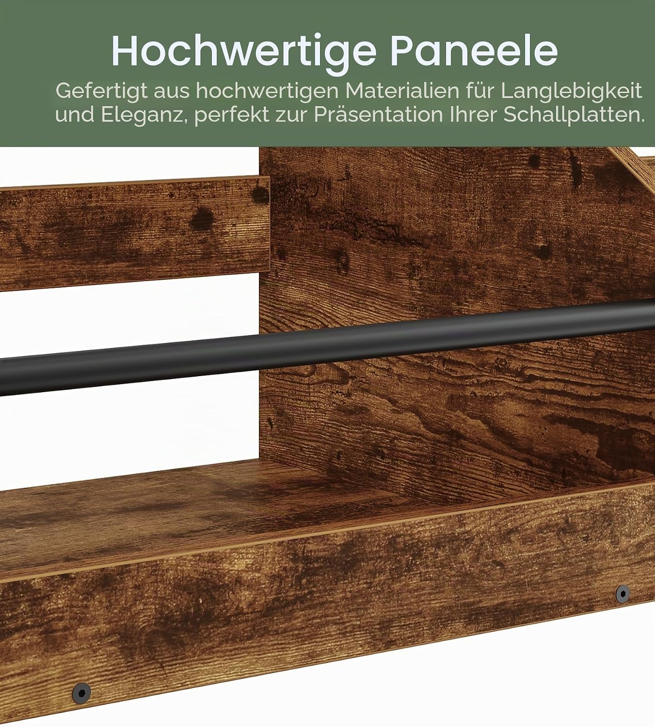 Schallplattenregal mit 2-stöckigem Aufbewahrungsständer