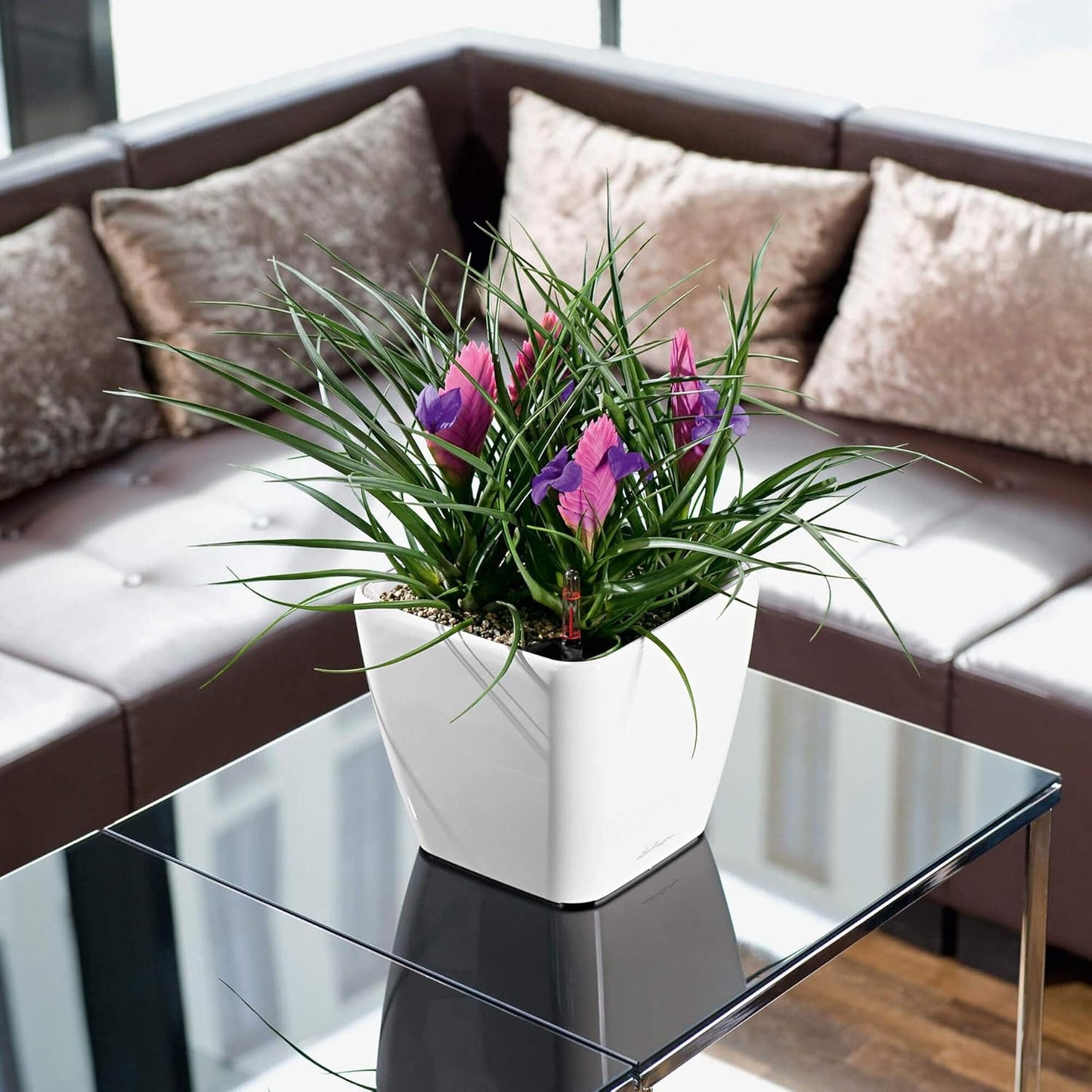 Pflanztopf Quadro Premium LS, 22.5x22.5x20.5 cm Weiss Hochglanz