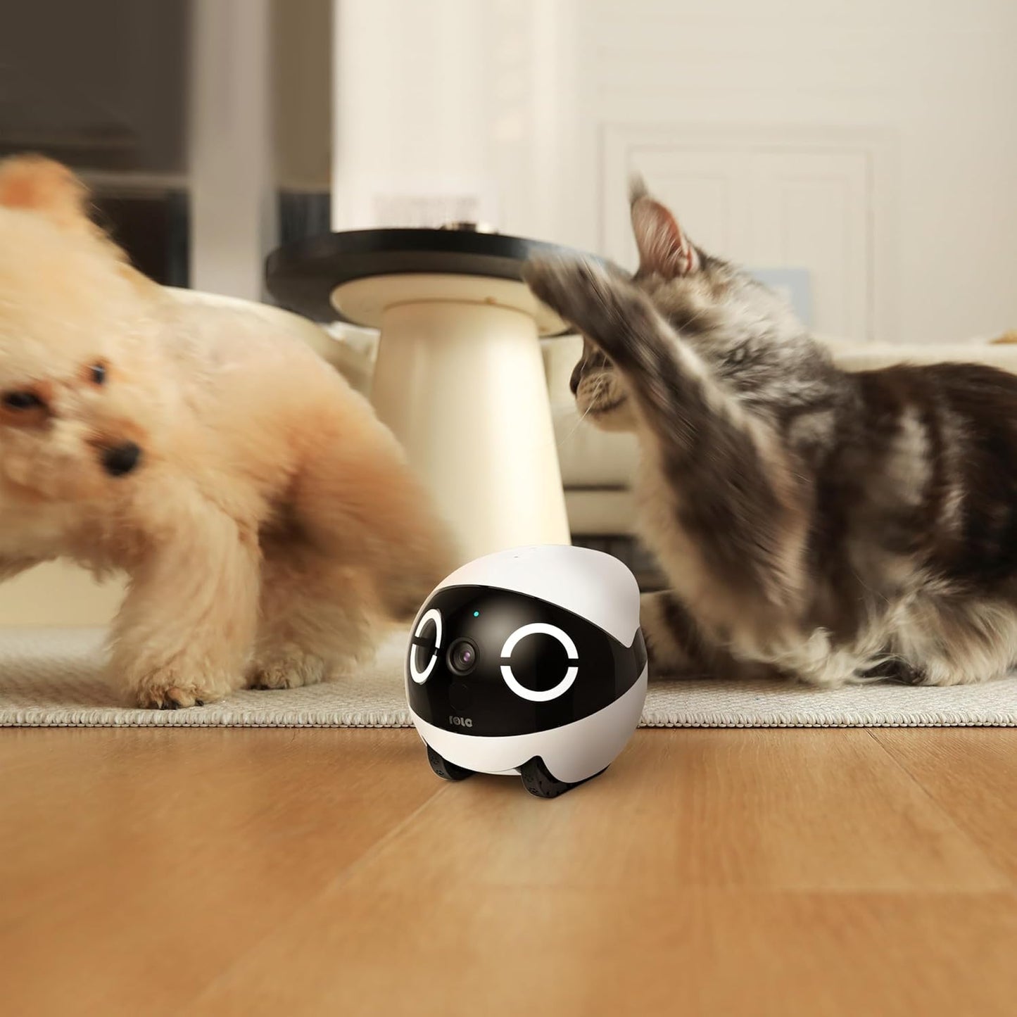 Rola Mini Companion Robot