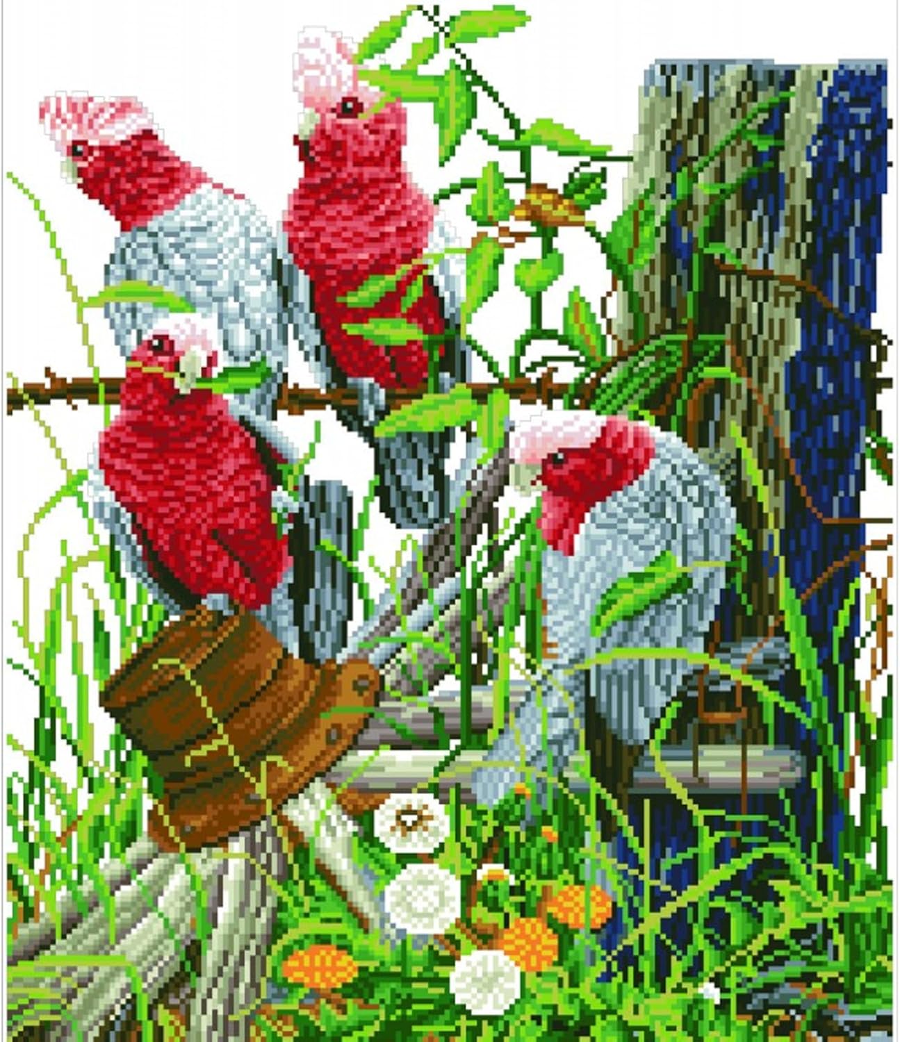 Diamond Painting Galah Quartett, DD12-031, 47 x 57 cm, Galah Quartet