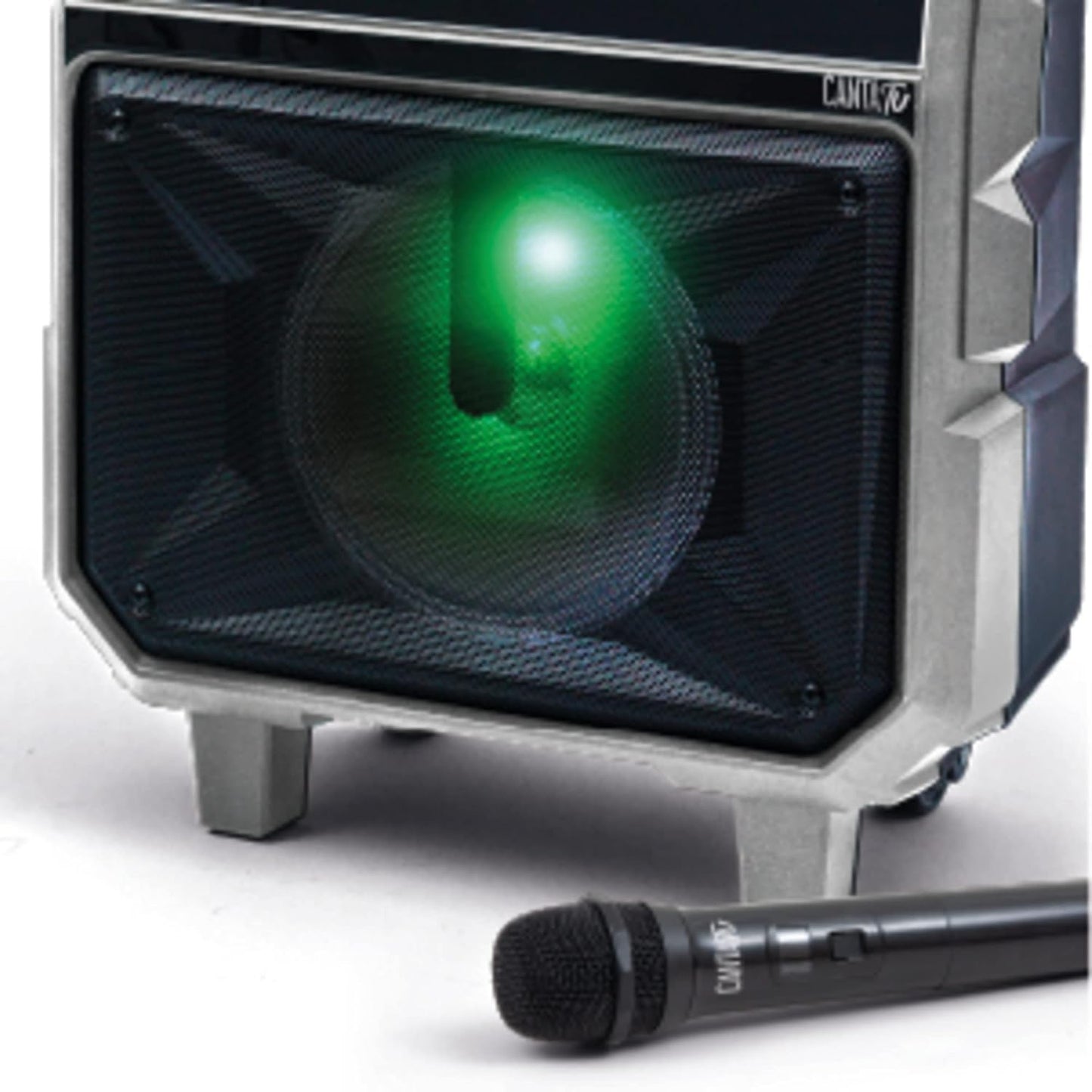 Professionelles Karaoke-System mit Mikrofon