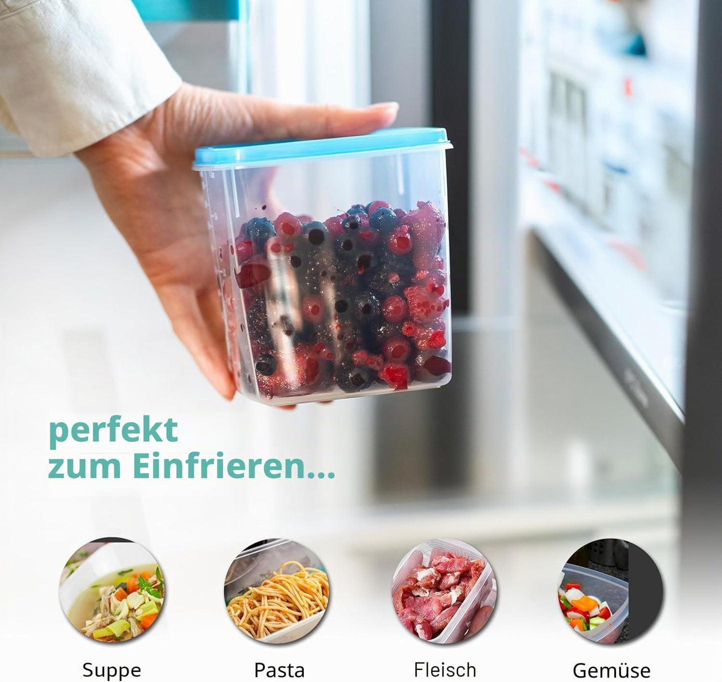 39-teiliges Gefrierdosen-Set mit Halterung, 0,03L (36 Stk) & Halterung (3 Stk)