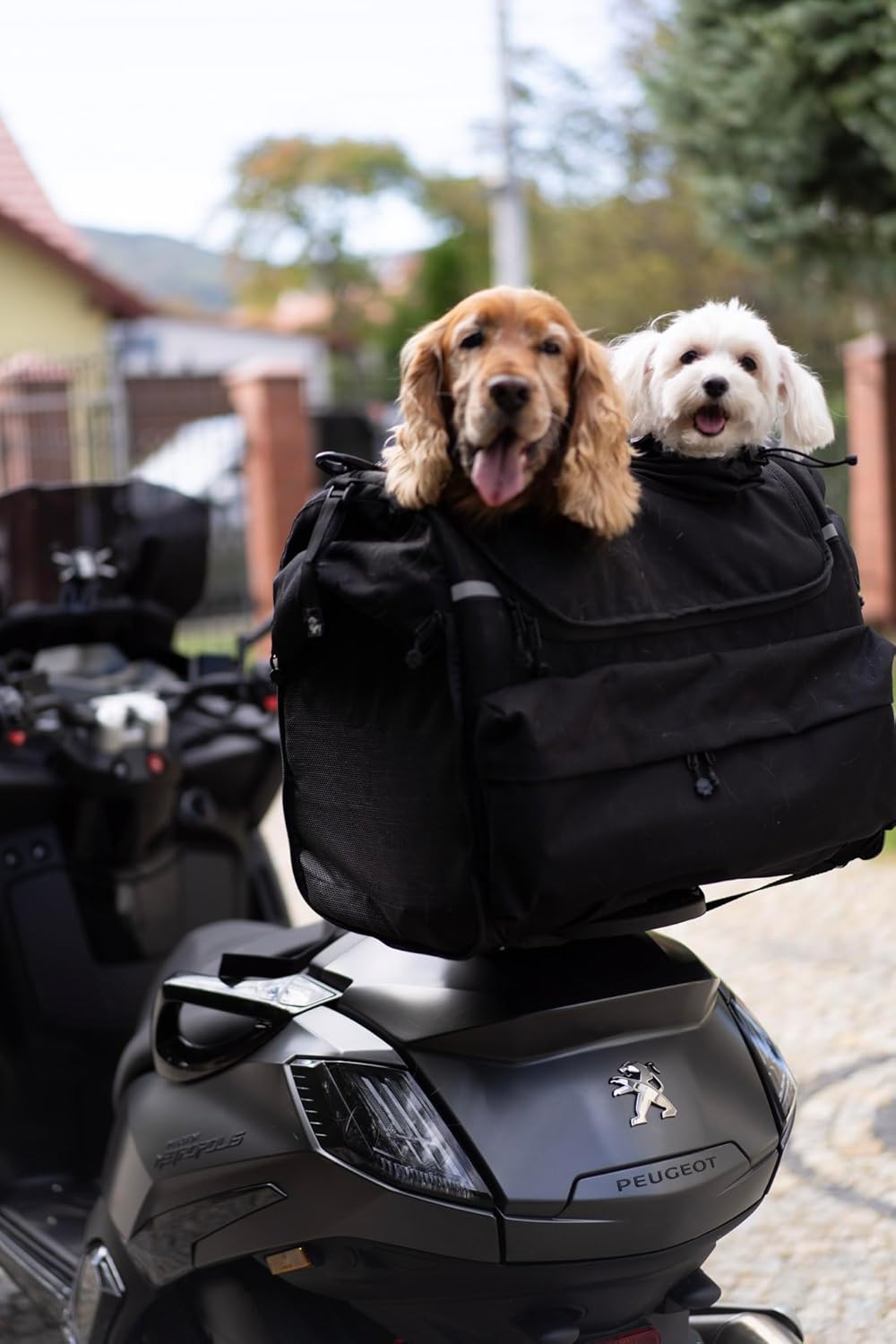 Motorrad-Hundetasche, Double