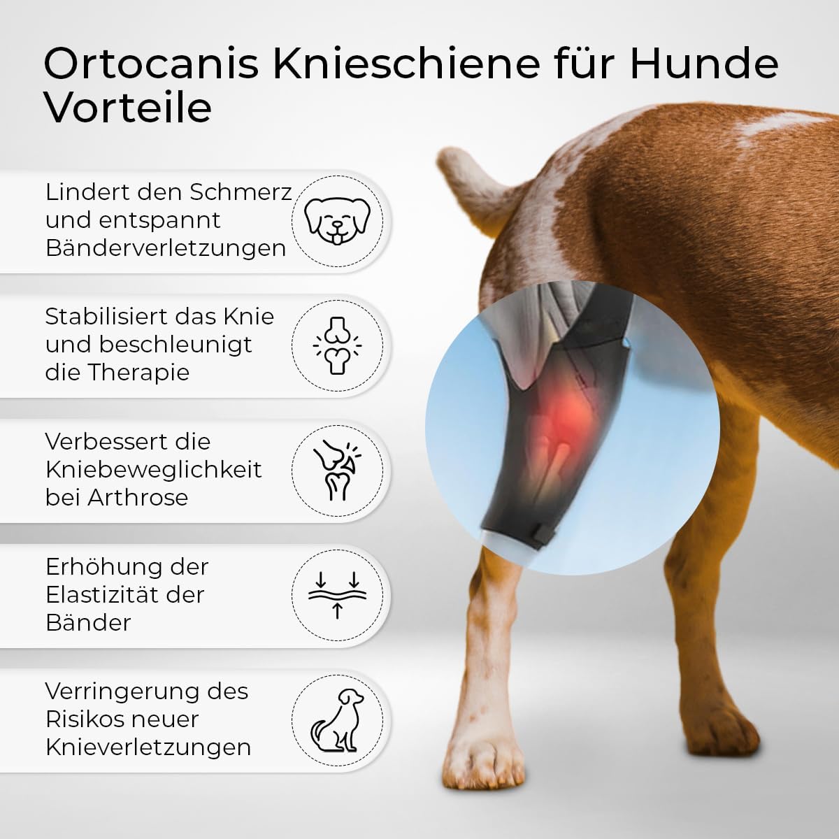 Kniebandage für Hunde hinten rechts, Rechtes Bein X-Small (22 – 24 cm)