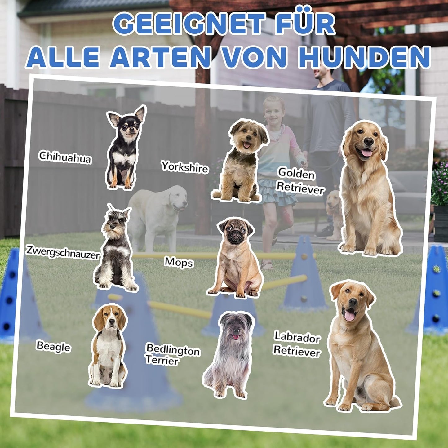 3-teiliges Agility-Trainingsset für Hunde, 3-teilig Blau