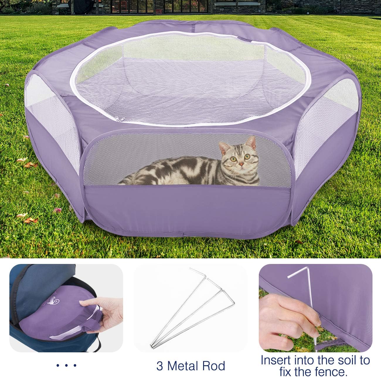 Freigehege, Violett