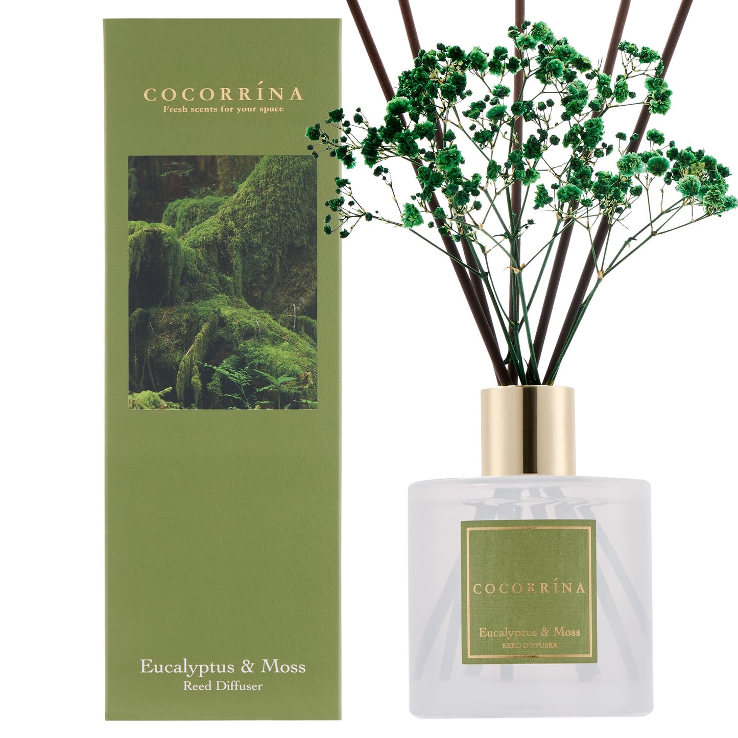 Raumduft mit ätherischen Ölen, Eucalyptus & Moss, Eucalyptus & Moss Raumduft/200ML/1 Stück