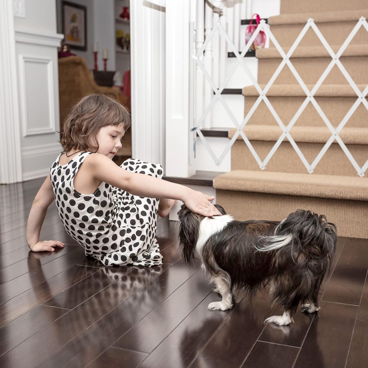 Hundeabsperrgitter, L