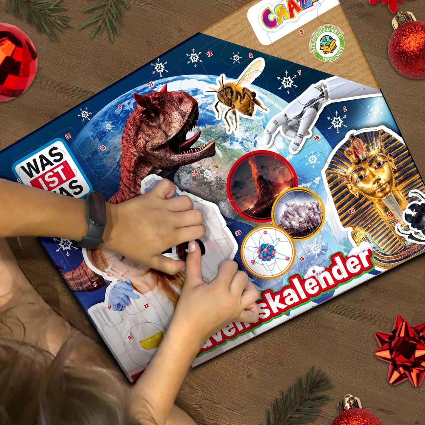 Adventskalender mit Experimenten, Adventskalender Was ist was?