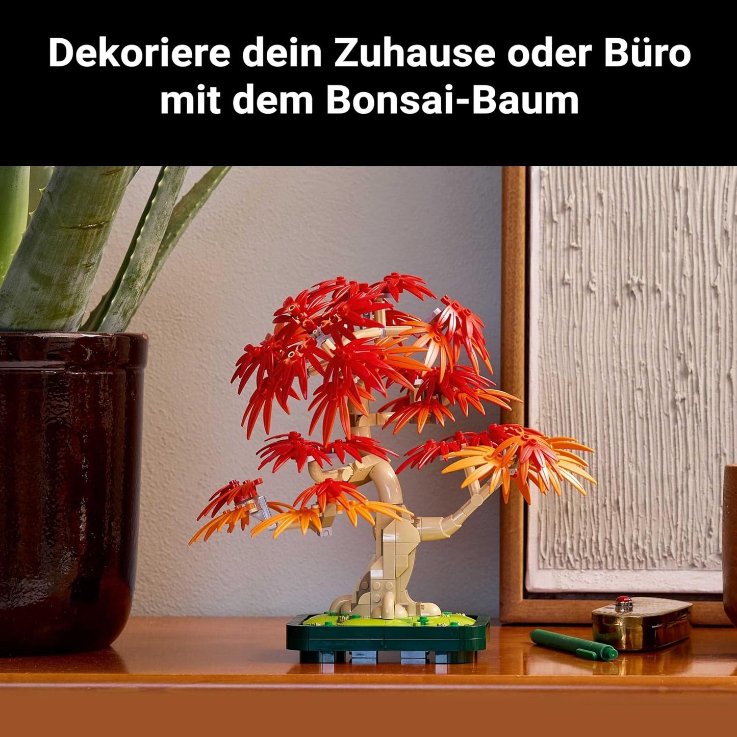Japanischer Roter Ahorn - Bonsai-Baum