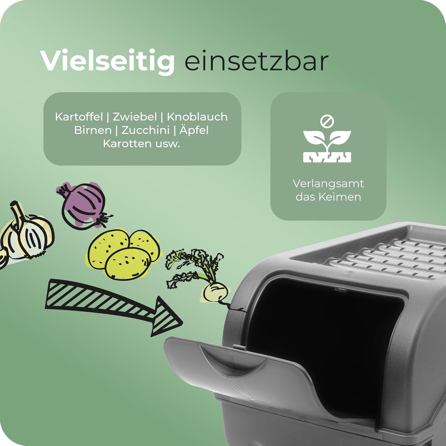 3er-Set Aufbewahrungsboxen für Kartoffel, Zwiebel und Knoblauch, Gemüsebox-Set Anthrazit