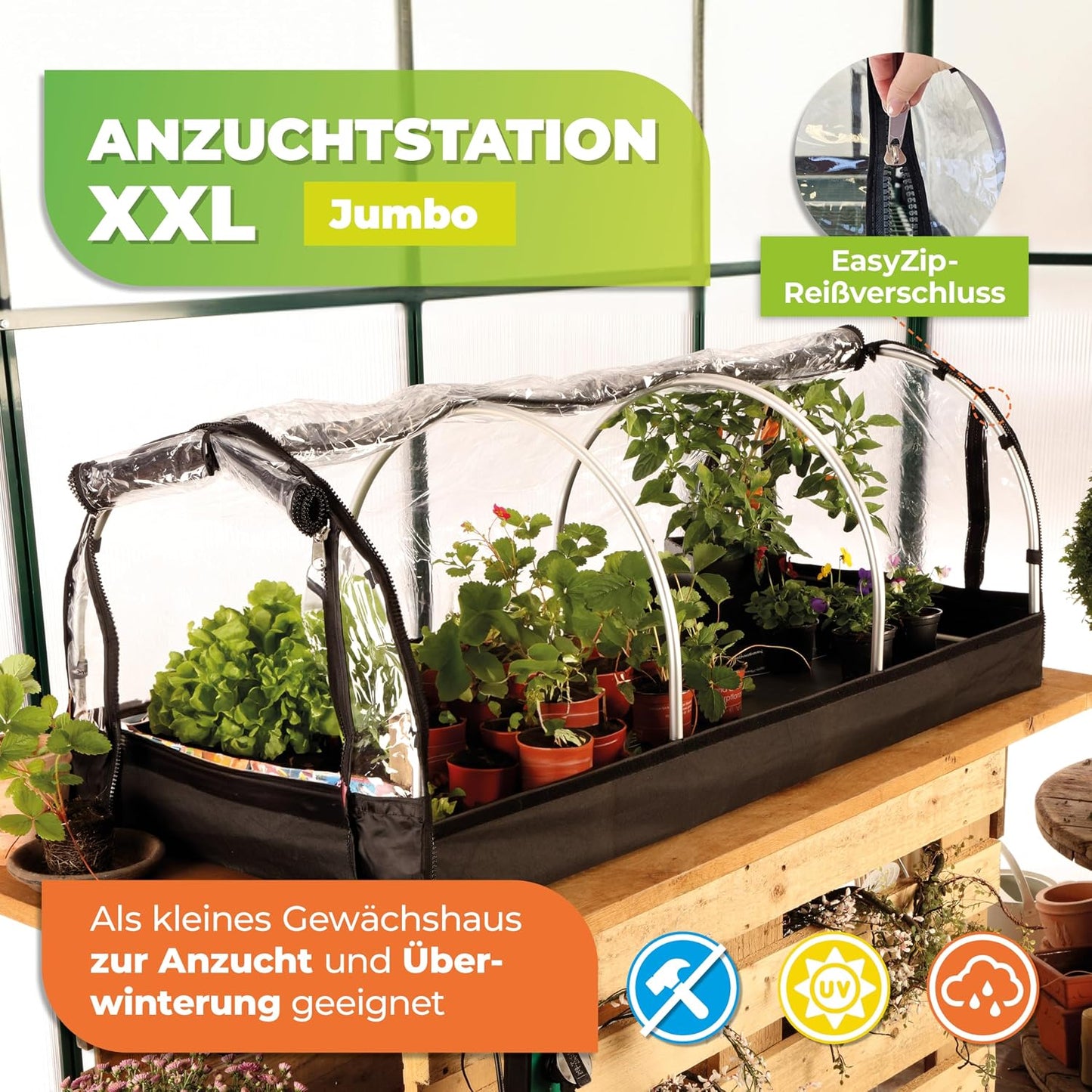 XXL Zimmergewächshaus mit Aluminiumrahmen