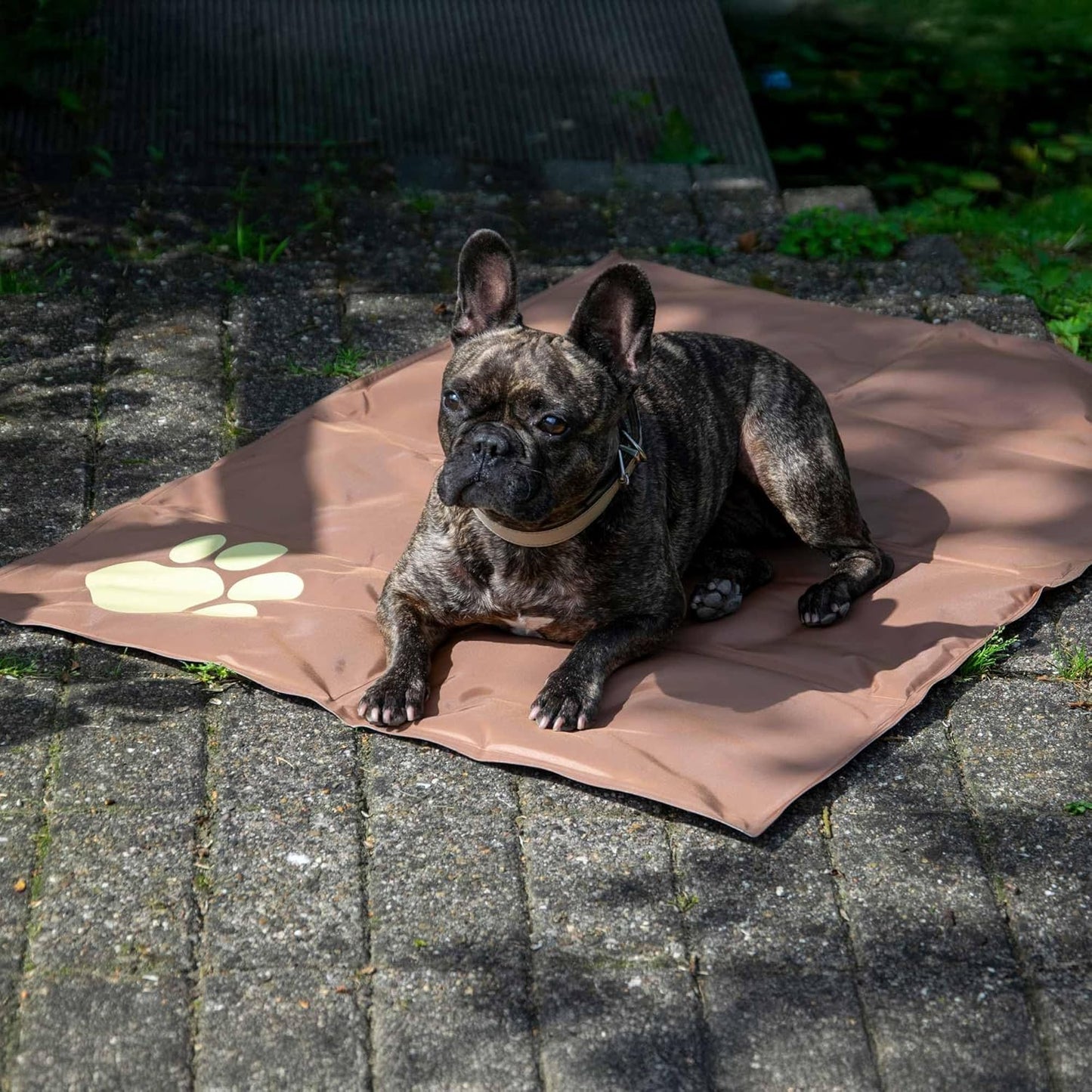 Selbstkühlende Hundematte mit Pfotenmuster, Braun
