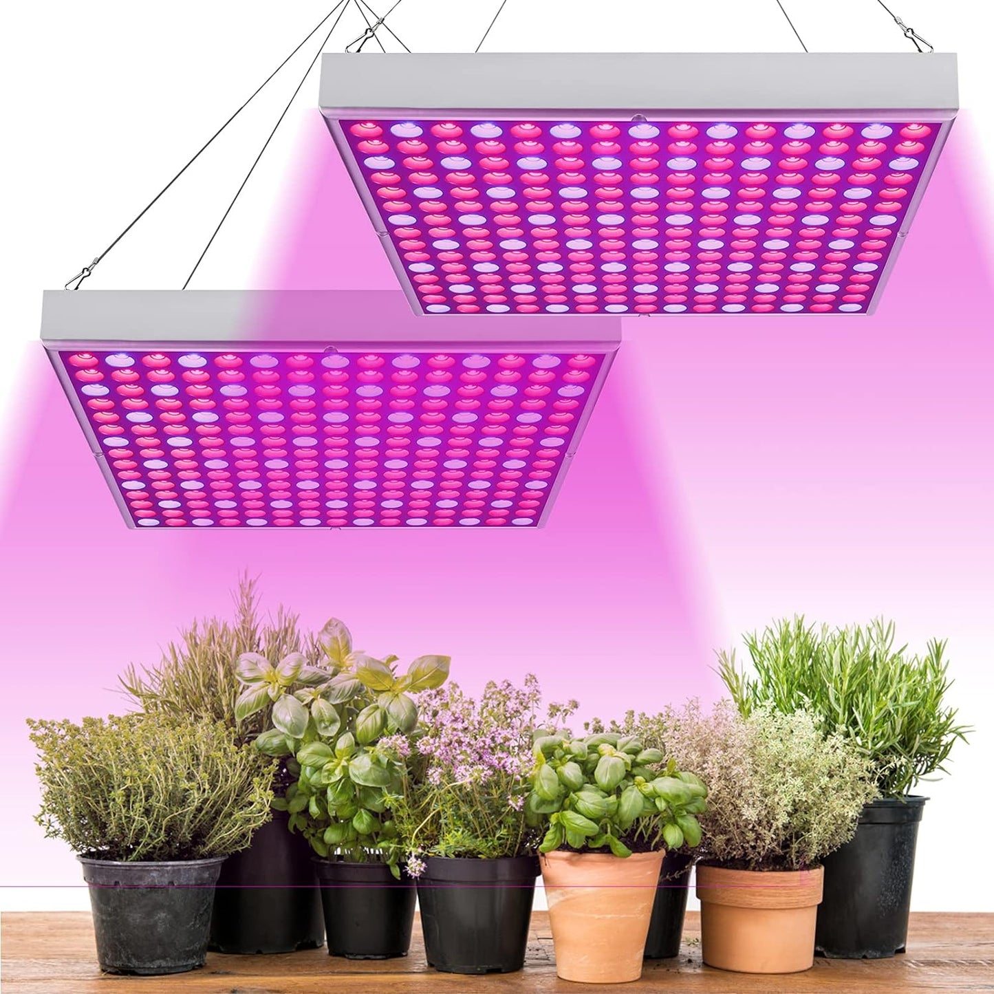 Pflanzenlicht, 2x ; 45W