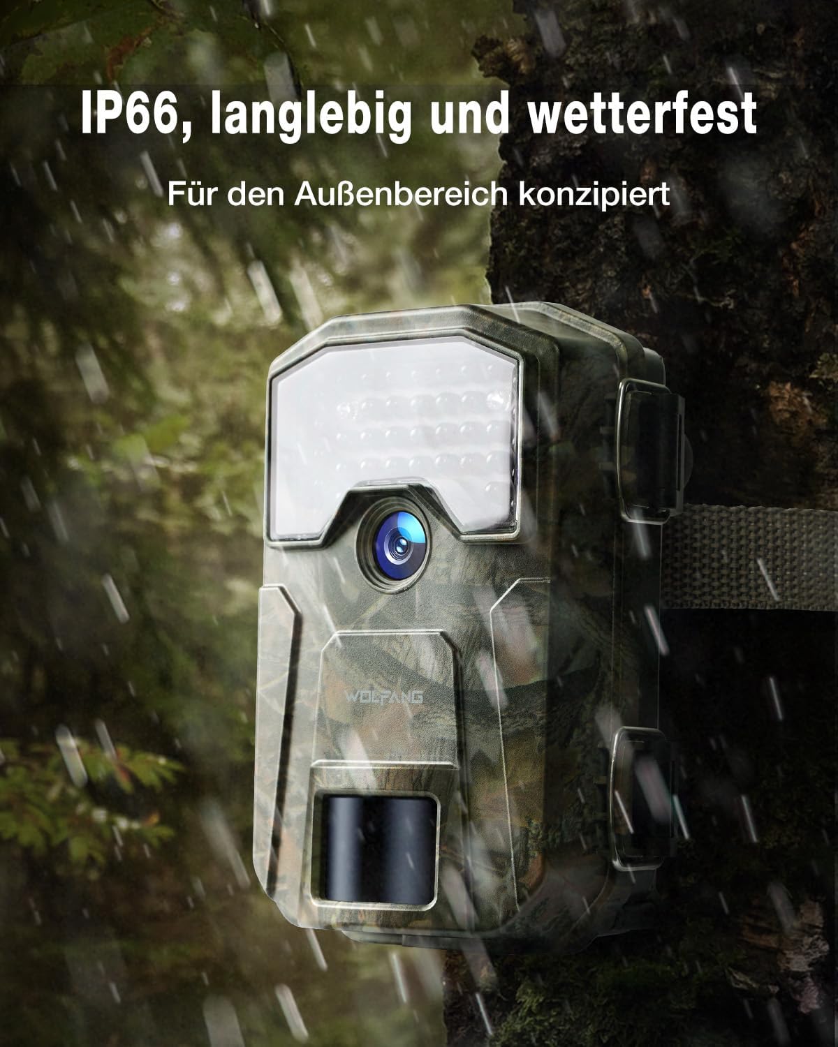Wildkamera