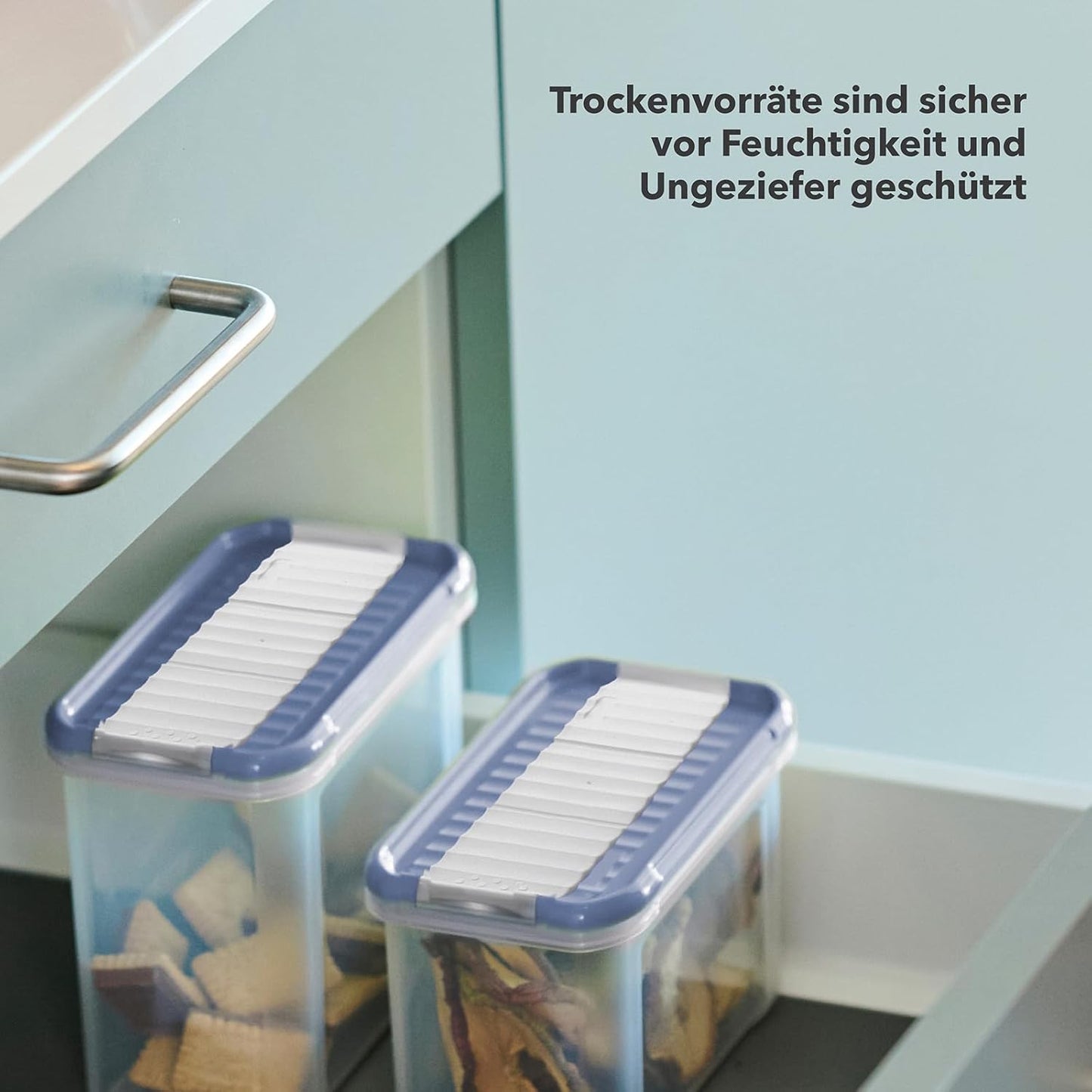 24-teiliges Domino Vorratsdosen-Set, 24 Stück