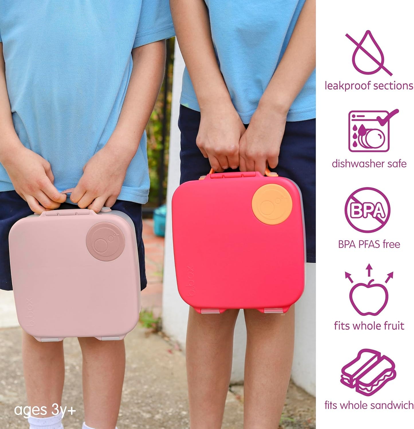 Bento-Brotdose mit herausnehmbarem Trenner, Blush Crush