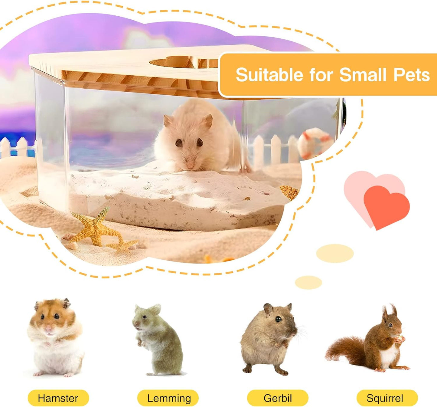 Hamster Sandbad-Container