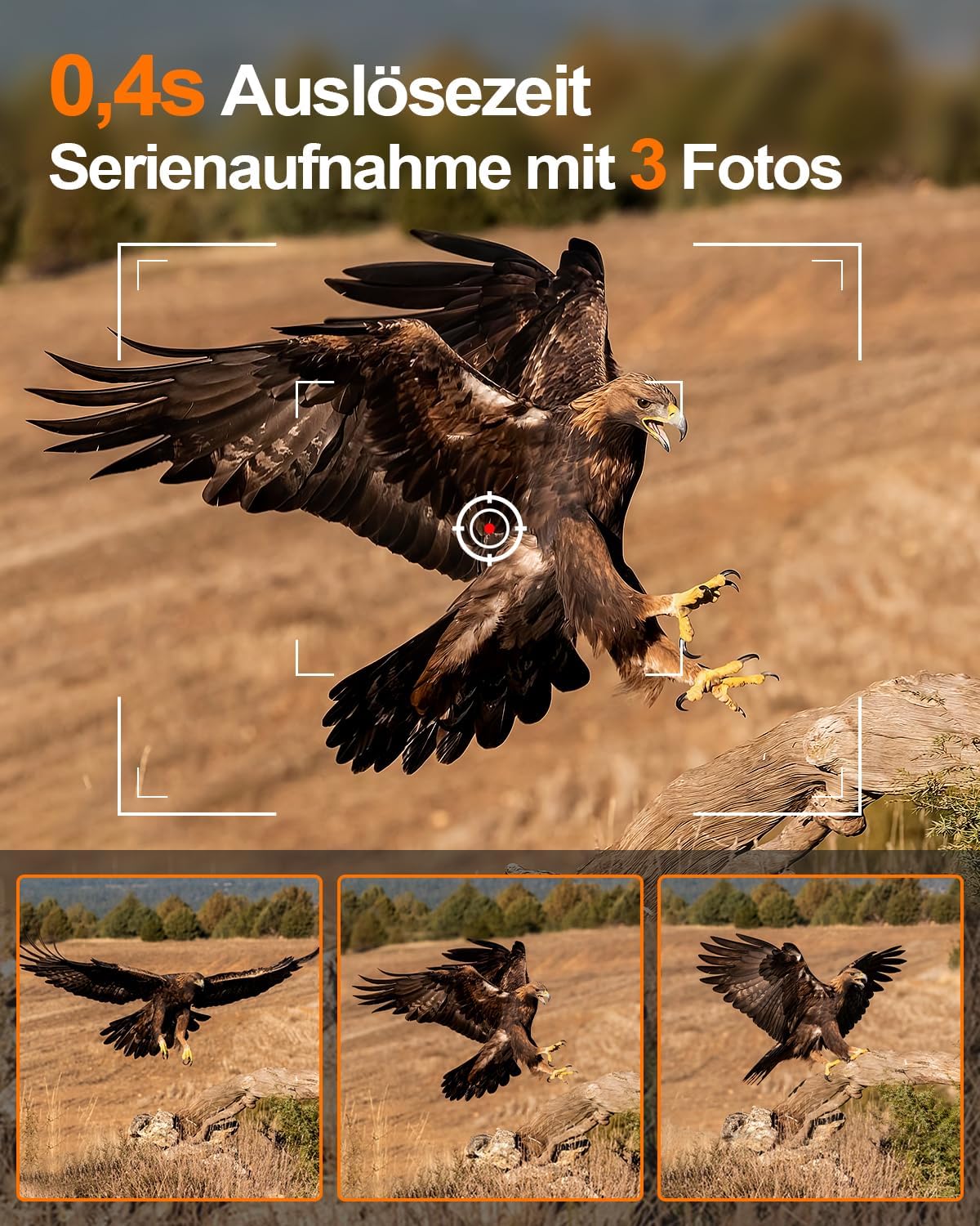 Wildtierkamera HD-30 mit Bewegungsmelder und Nachtsicht, Wildkamera 4K HD