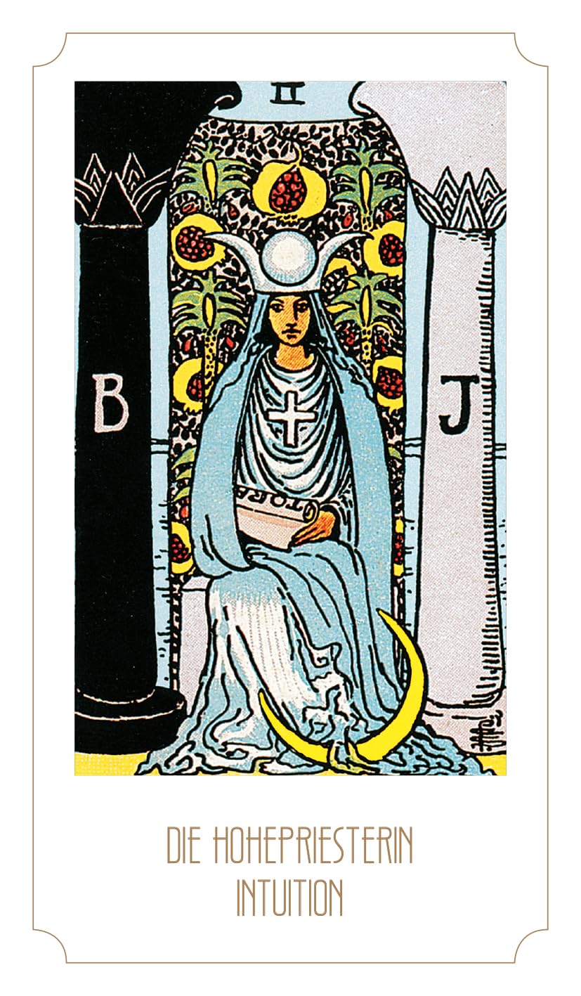 Tarot Young - Feel the vibes, Gebundenes Buch