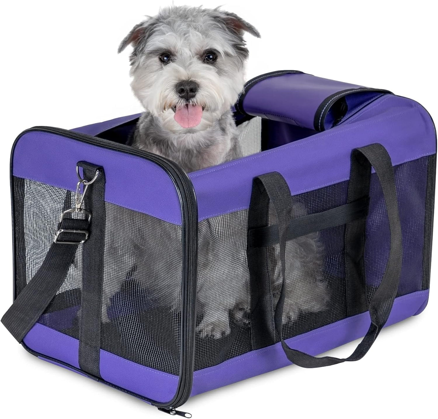 Faltbare Hundetransportbox, Gross Violett
