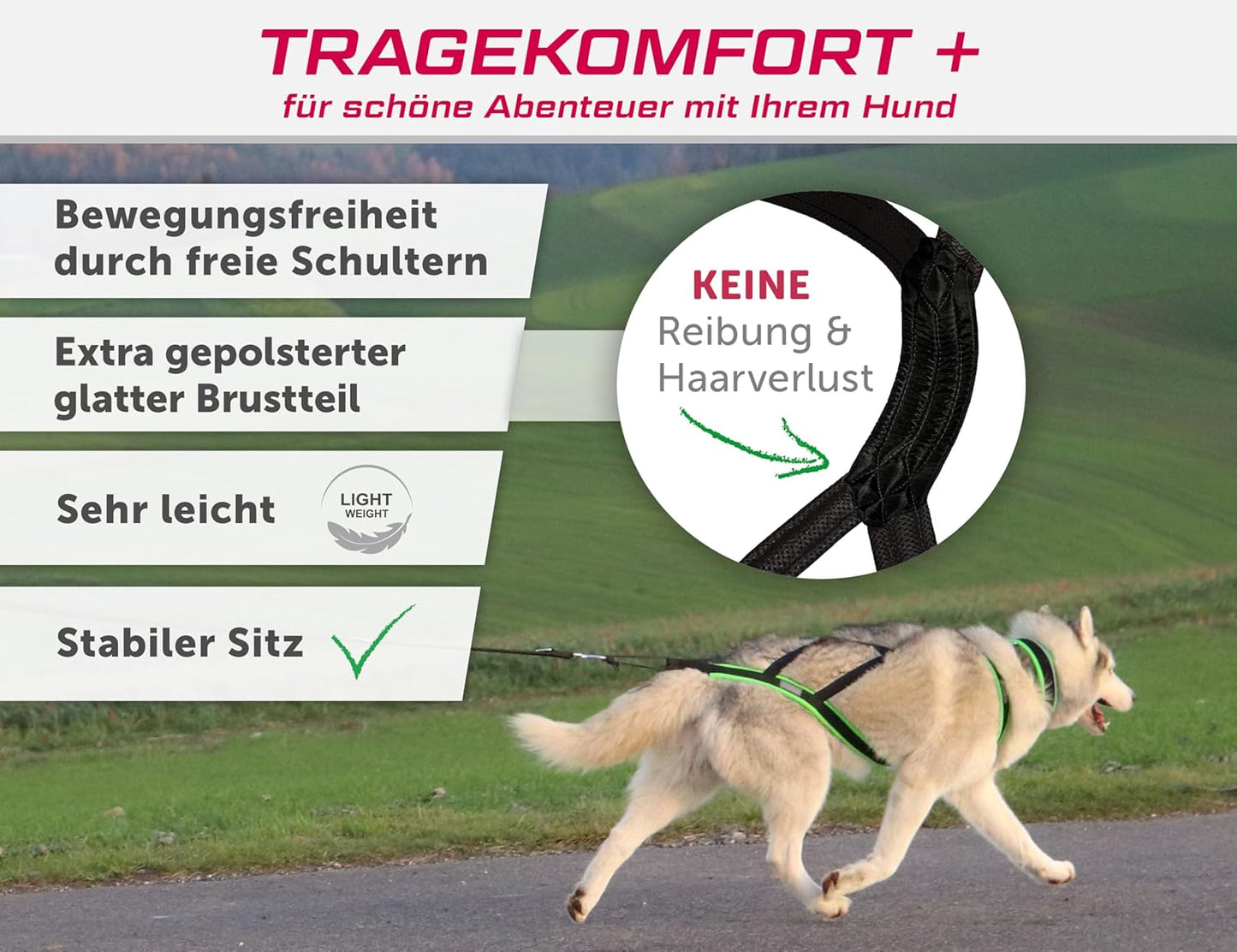 Zuggeschirr X Back für Canicross & Hundesport, S