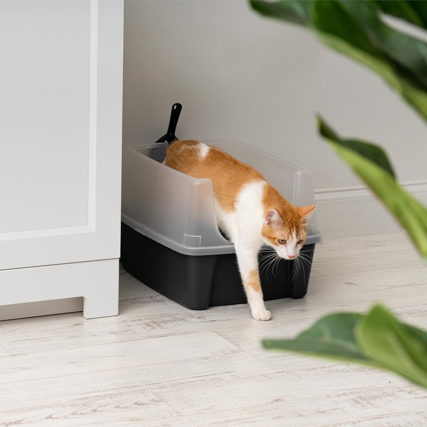 2er-Set Katzentoilette CLH-12, Grau Standard - 2-Piece Set - High Wall
