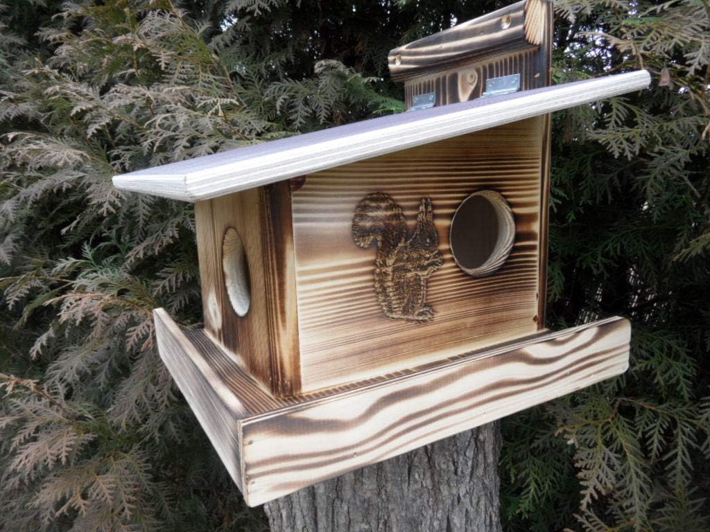 Eichhörnchenfutterhaus, Edel Geflammt