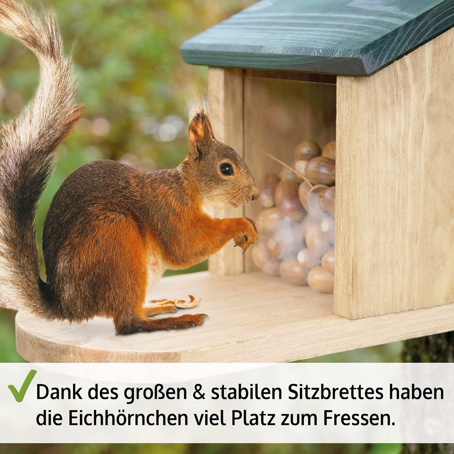 Futterhaus Eichhörnchen