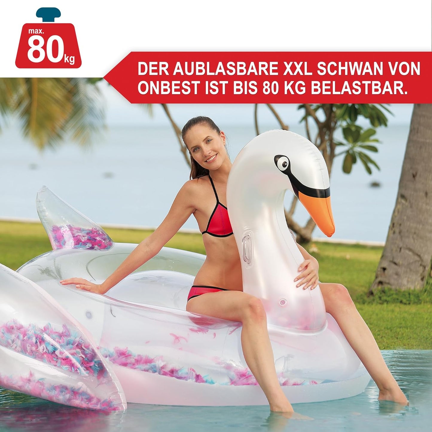 Schwimmtier Schwan